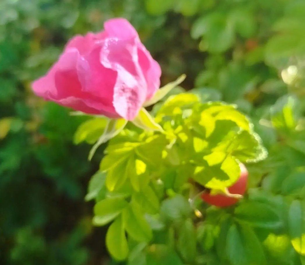 Көзге кәефсезлектән коткара торган 5 киңәш