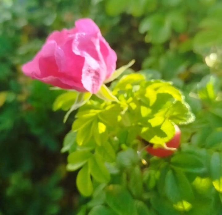 Көзге кәефсезлектән коткара торган 5 киңәш