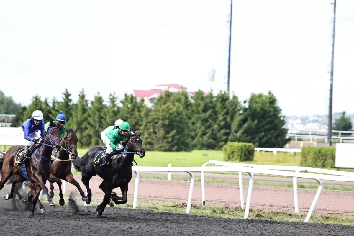 Казан Сабан туе кысаларында ипподромда уздырылган ат чабышларыннан ФОТОРЕПОРТАЖ