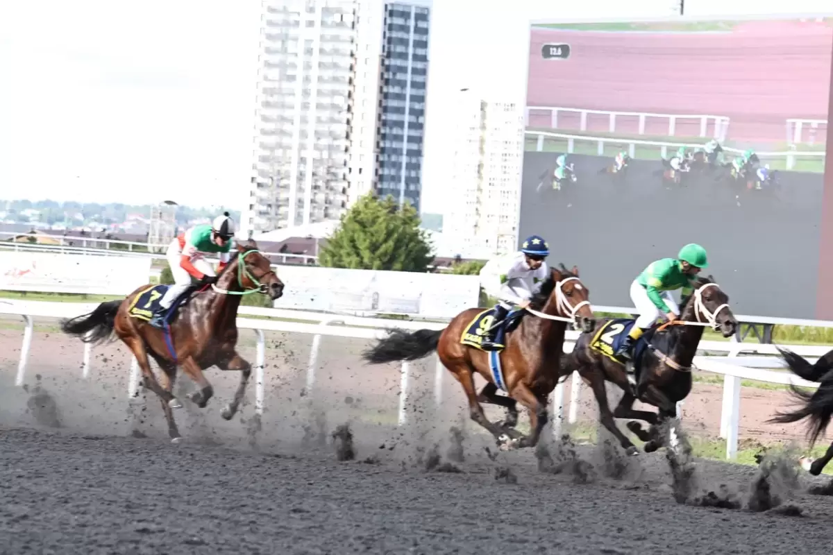 Казан Сабан туе кысаларында ипподромда уздырылган ат чабышларыннан ФОТОРЕПОРТАЖ