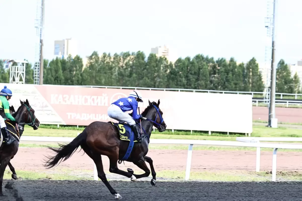 Казан Сабан туе кысаларында ипподромда уздырылган ат чабышларыннан ФОТОРЕПОРТАЖ