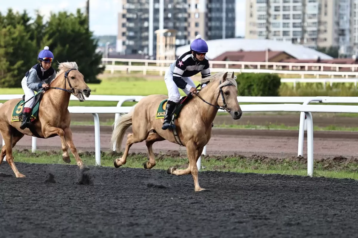 Казан Сабан туе кысаларында ипподромда уздырылган ат чабышларыннан ФОТОРЕПОРТАЖ