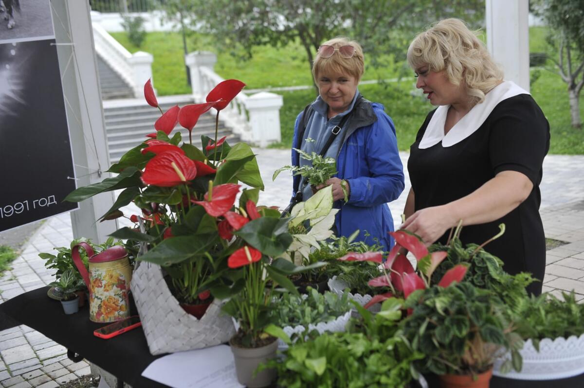 Черек күлендә узган чәчәкләр фестиваленнән ФОТОРЕПОРТАЖ