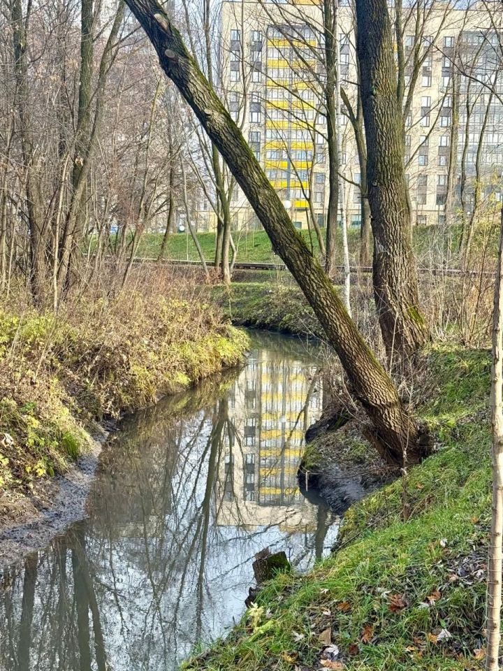 Пычрак аякка иярсә, декабрьгә кадәр суыклар булмас?!