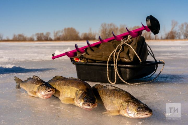 Бозга кергәнче уйла: кышын сулыкларда бәла саклый