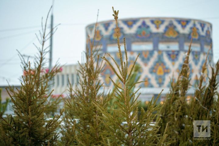 Ел буе саклыйлар