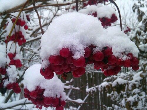 Балан барда дару кирәкми!