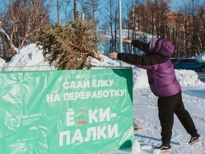 Бәйрәм үтте – яме бетте: чыршыны кая тапшырырга?