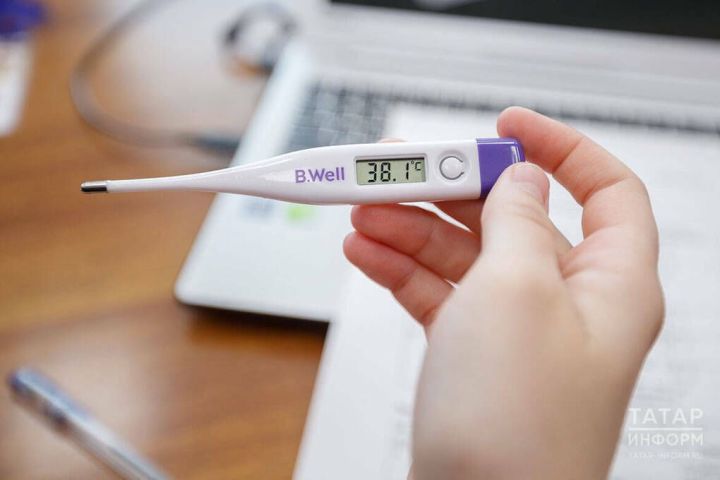 Йогышлы чор: грипп һәм вируслы авырулар сезонына кердек