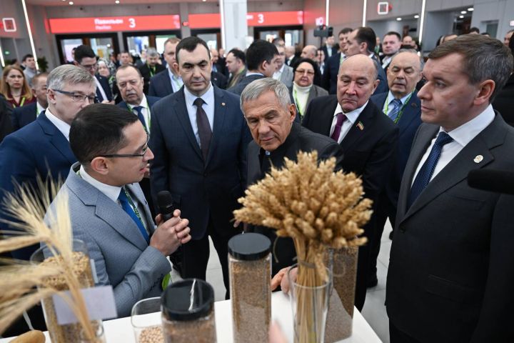 Рөстәм Миңнеханов: «Хезмәтегез өчен зур рәхмәт!»