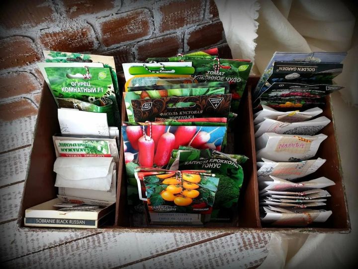 Орлыкка җитте чират: агроном Нияз Фәттаховтан киңәшләр