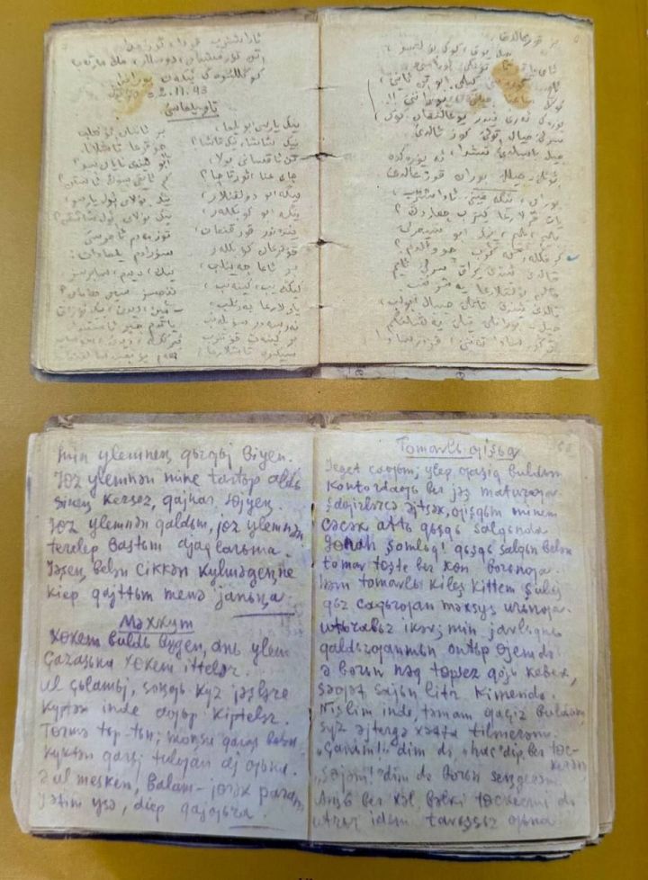 Рамил Исламов: «Муса Җәлилнең ун блокноты булганлыгы ачыклана»