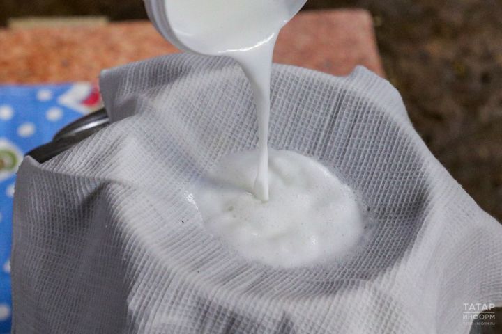 Сөт елгасы кая ага?