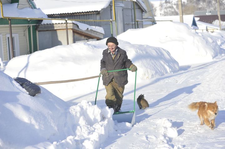 Авыл кышын йоклыймы?