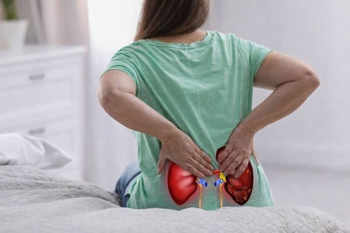 Авырттырмый торган чир: бөер авыруларыннан ничек сакланырга?