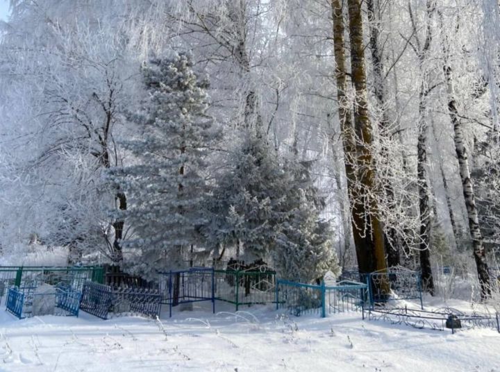 «Каты салкыннарда, көчле кар-бураннарда вафат булып, кешегә авырлык китермәсәм иде»