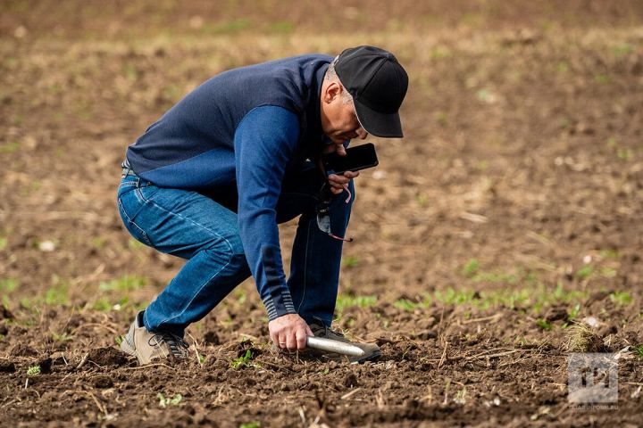 Язгы чәчүгә нинди әзерлек белән керәбез?