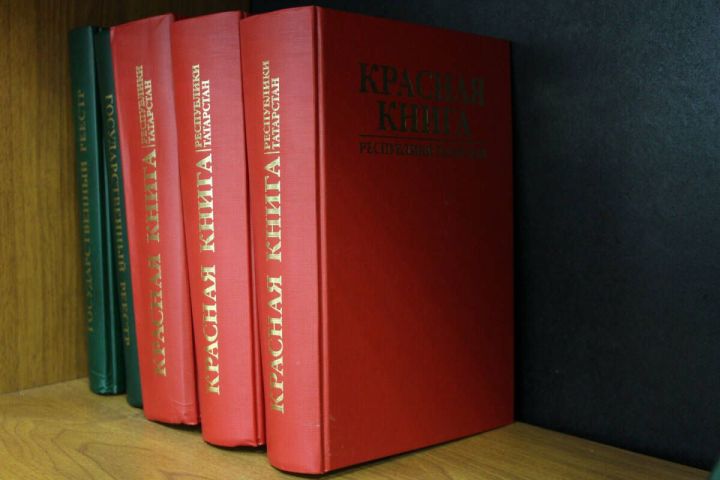 Берсе керә, икенчесе чыга: Татарстанның яңартылган Кызыл китабы дөнья күрде
