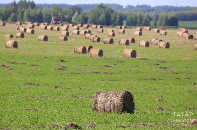 Саналганның кадере бар: 1 марттан Россиядә җир мәсьәләләренә кагылышлы закон үз көченә керде