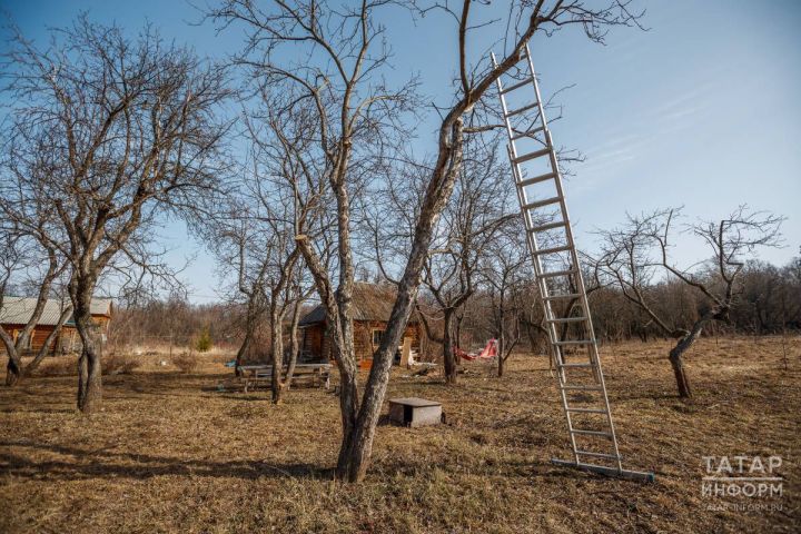 Яз бәласе: тычканлы-талпанлы чорда ничек сакланырга?