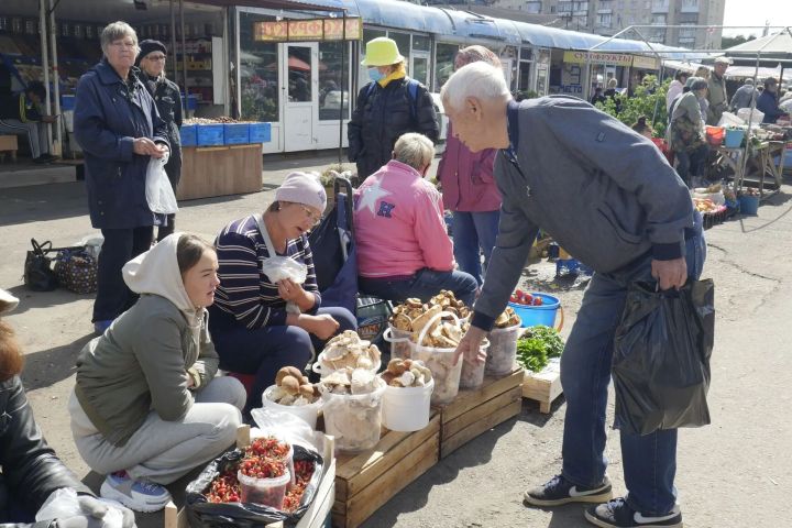 Белмәгәнгә кагылма: гөмбәчеләргә нәрсәне белеп тору комачау итмәс?